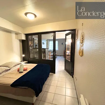 Le Ga Illard-poitiers-laconciergerie Apartment *